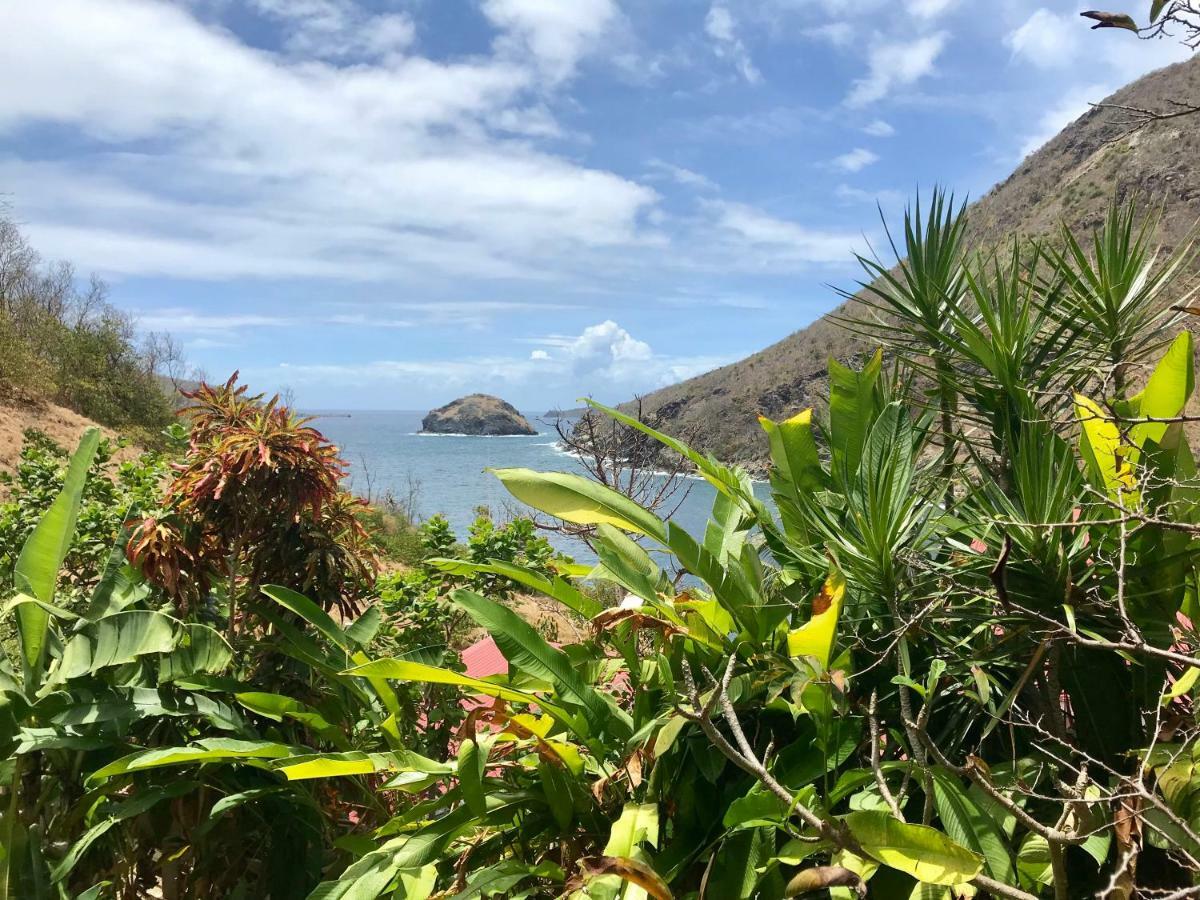 Villa Figues Et Mangos Terre-De-Haut Buitenkant foto