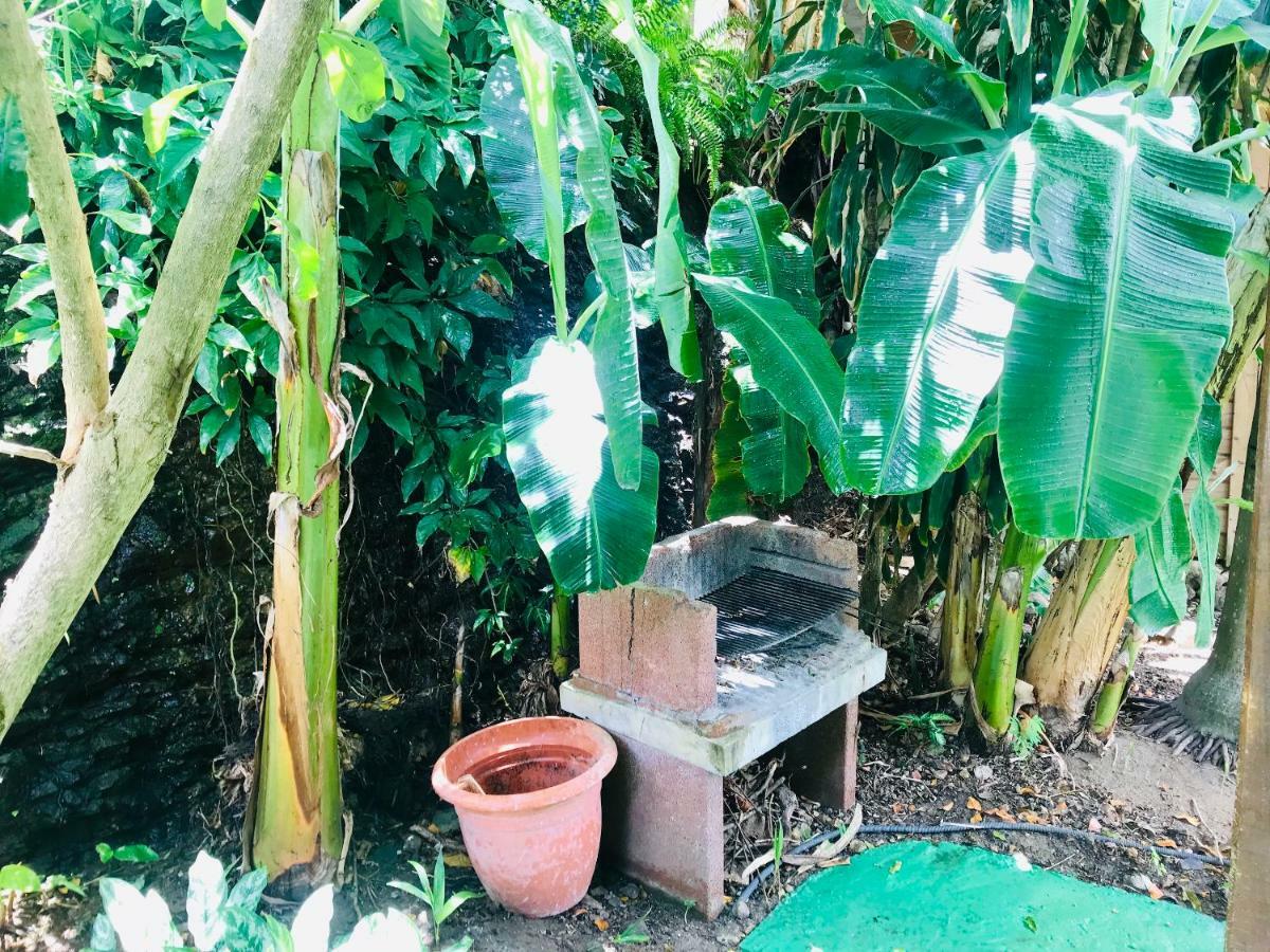 Villa Figues Et Mangos Terre-De-Haut Buitenkant foto