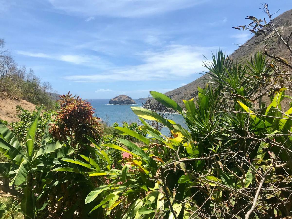 Villa Figues Et Mangos Terre-De-Haut Buitenkant foto
